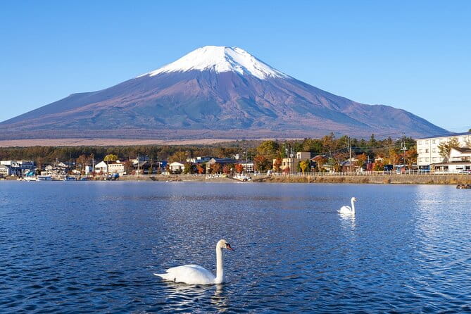 Small Group Mt. Fuji, Sengen Shrine and Lake Kawaguchi Tour - Exploring Mount Fuji