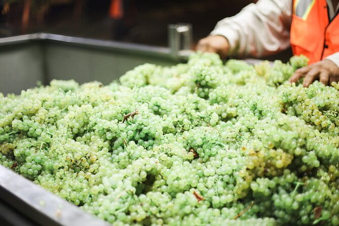 Small Group Olive Oil and Wine Tour with Light Lunch - Price and Value Consideration