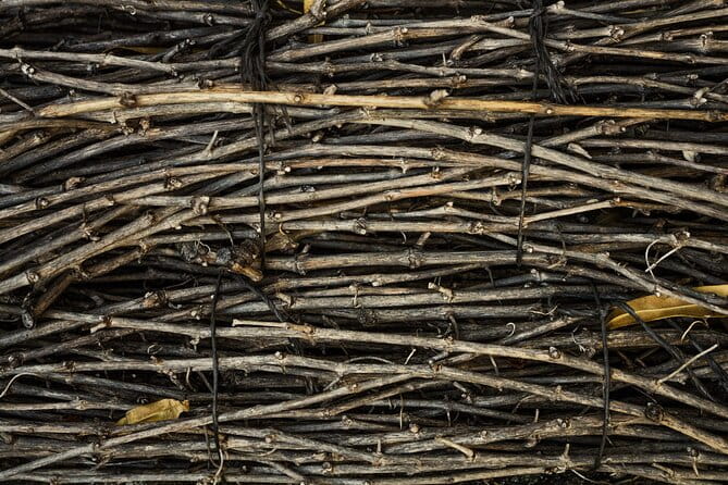 Small-Group Rioja Uncorked Tour from San Sebastian - Exploring the Rioja Landscape and Village Charm