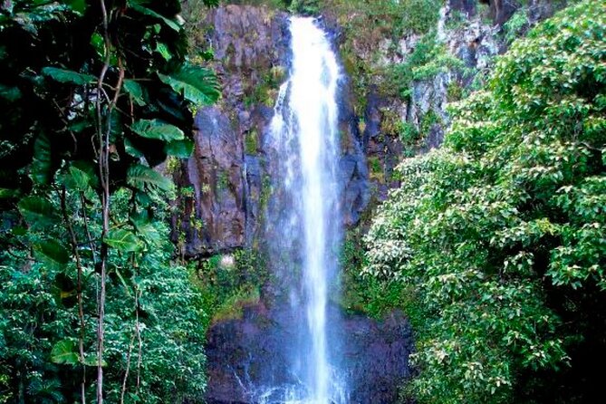 Small Group Road to HāNa Tour 6 to 8 Passengers - Important Information