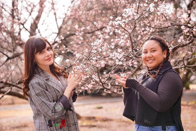 Small Group Shinjuku Gyoen Walking Tour - Inclusions and Highlights