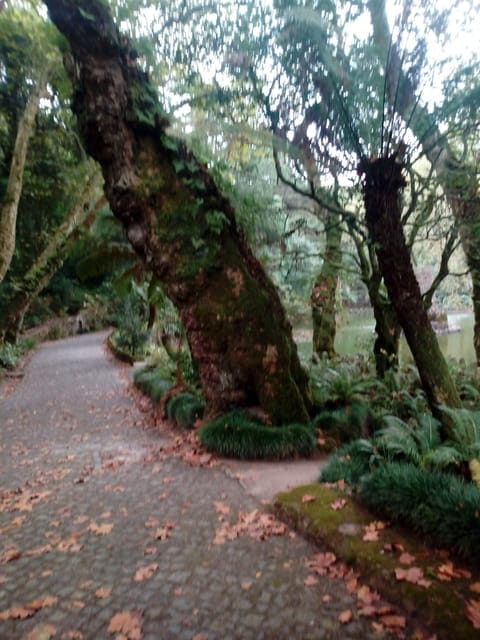 Small Group Sintra-Cabo Roca-Cascais the Portuguese Riviera - Final Thoughts: Is This Tour for You?