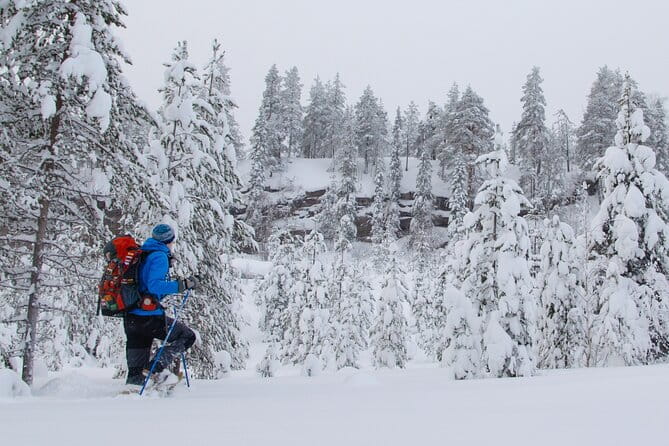 Small-Group Snowshoeing Adventure In Lapland - Who Should Consider This Tour?