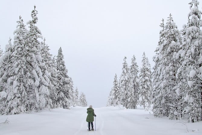 Small-Group Snowshoeing Adventure In Lapland - Final Thoughts on the Snowshoeing Tour in Lapland