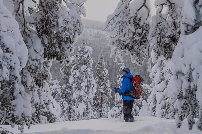 Small-Group Snowshoeing Adventure In Lapland - FAQ