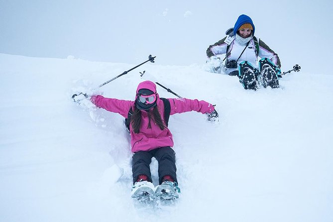 Small-Group Snowshoeing Tour From Tromso - Meeting and Pickup
