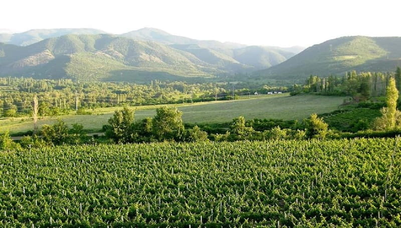 Small Group Tour; Best of North Macedonia in Eight Days - FAQ