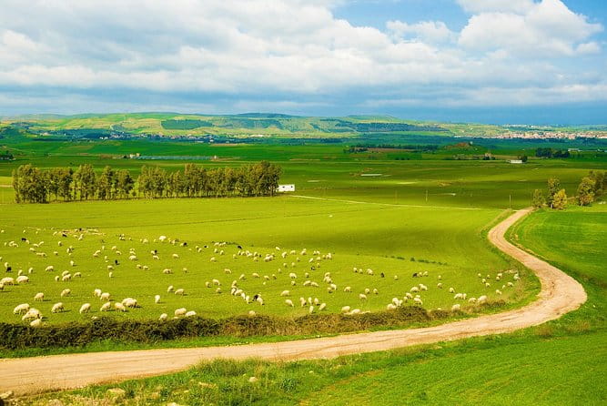 Small Group Tour - Tempio Pausania, Luras, The Gallura County- SARDINIA - ITALY - Exploring Sardinia Through a Narrow Lens: What You’ll Experience