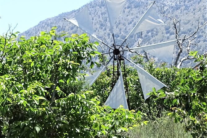 Small Group Tour to Knossos Palace Lasithi Plateau & Olive Mill - Entering the Heart of Crete’s Cultural Heritage