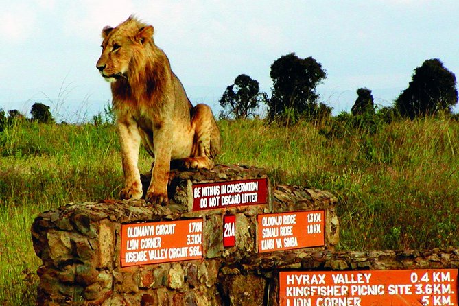Small Group Tour to Nairobi Park Baby and Optional Baby Elephants - Tour Duration