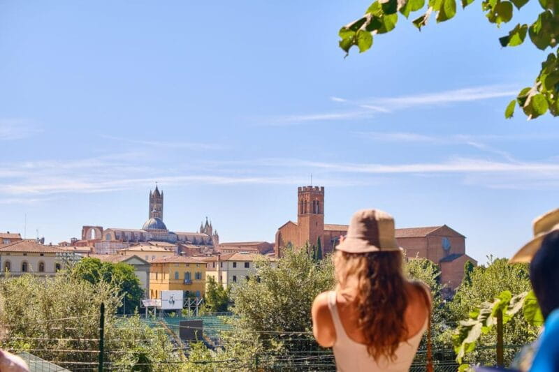 Small Group Tour to Siena & San Gimignano with Chianti Wine - Discovering Siena with a Local Guide
