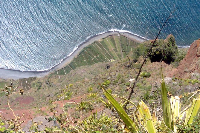 Small Group West Tour Waterfalls & Fanal Forest Tour - Nature Pools and Forests