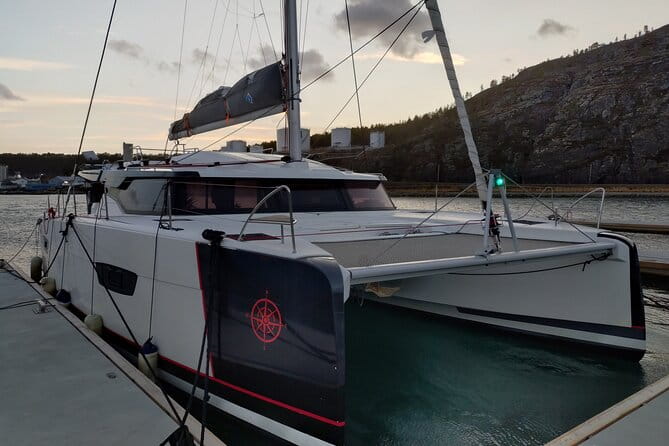 Small group Whale watching - Final Thoughts