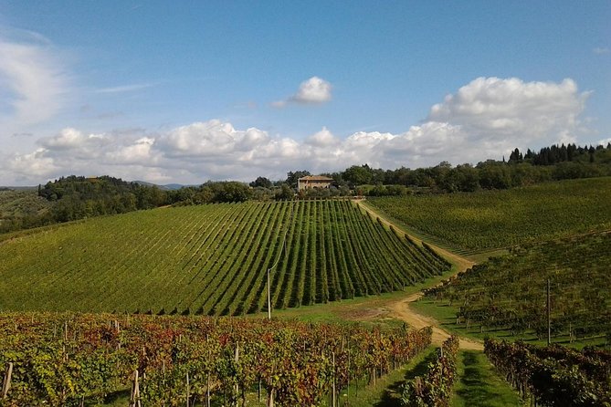 Small-Group Wine Tasting Experience in the Tuscan Countryside - Practical Information for the Wine Tour