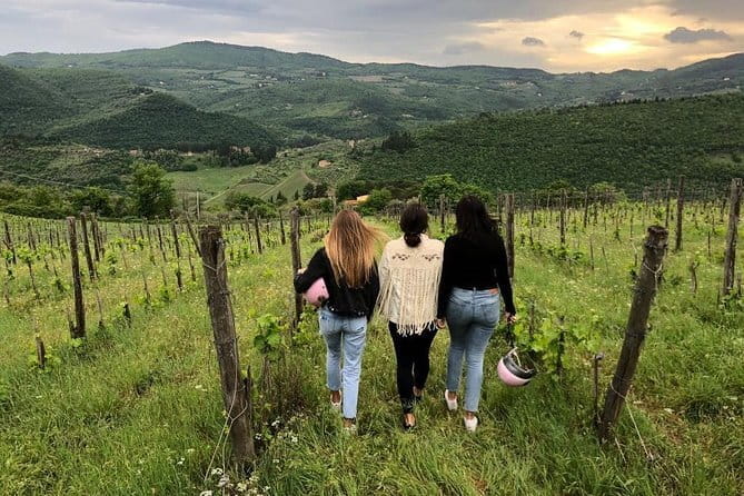 Small Group Wine Tasting in Tuscany with Vineyard Visit - Frequently Asked Questions