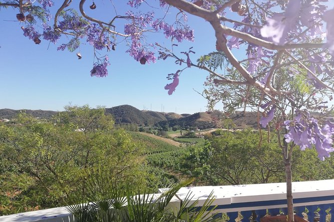 Small-Group Wine Tour & Silves Exploration (from Albufeira) - Tour Exclusions
