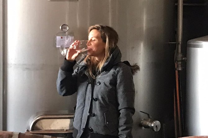 Small-Group Wine Tour & Silves Exploration (from Albufeira) - Booking and Availability