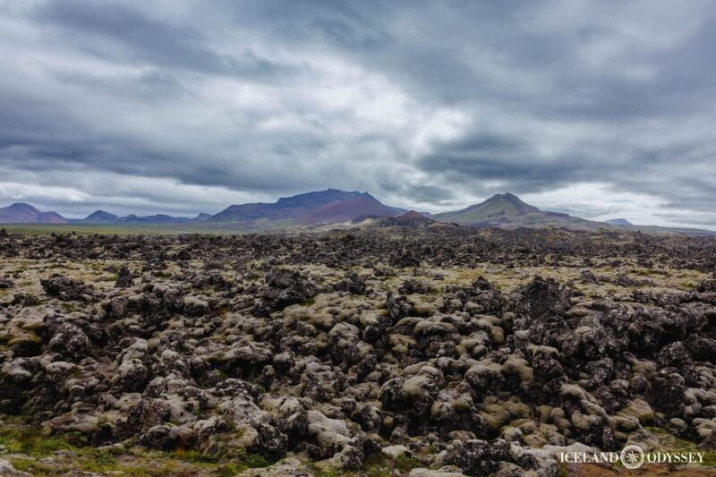 Snæfellsnes peninsula: Small Group tour by van - Price and Value: Is It Worth It?