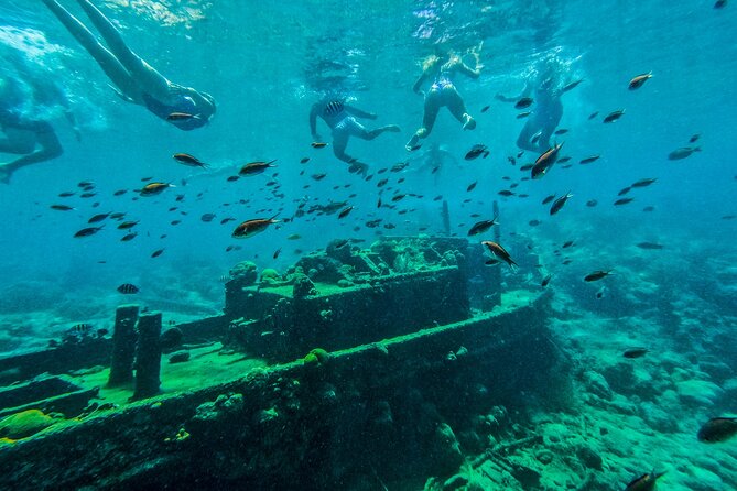 Snorkel Hopping Full Day Trip With F&B - Marine Life and Shipwrecks