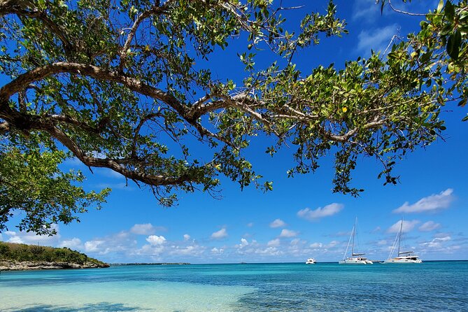 Snorkel - Lobster Lunch Cruise to Bird and Maiden Island - Beachside Lobster Lunch