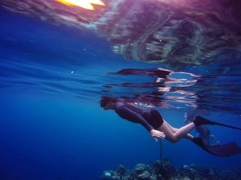 Snorkeling for beginners in crystal clear sea of Halkidiki - The Sum Up: Who Should Sign Up?
