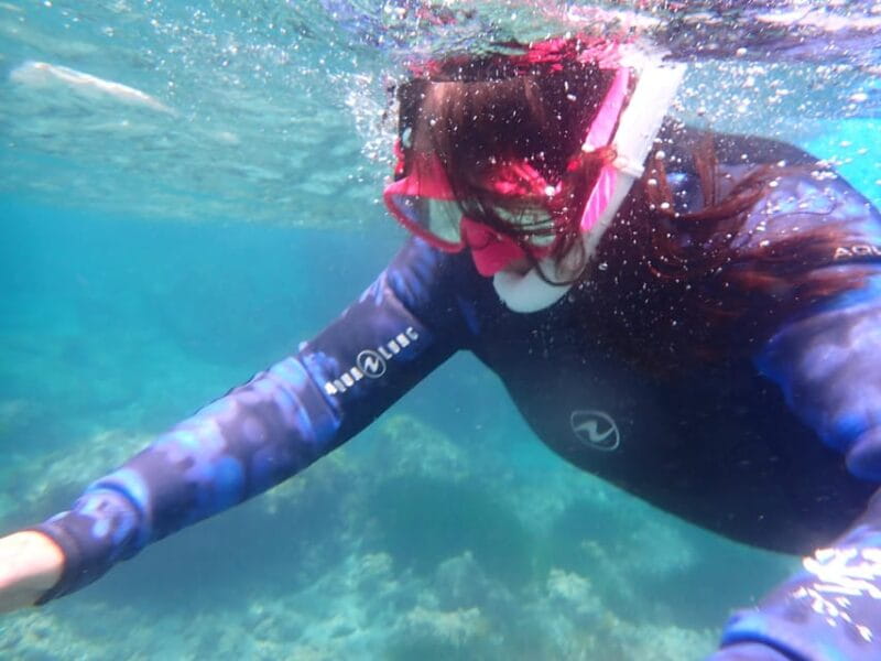 Snorkeling guided tours for tha all family! - Key points / Takeaways