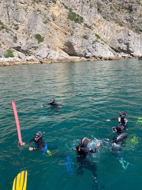 Snorkeling in Sesimbra - Itinerary and Adventure