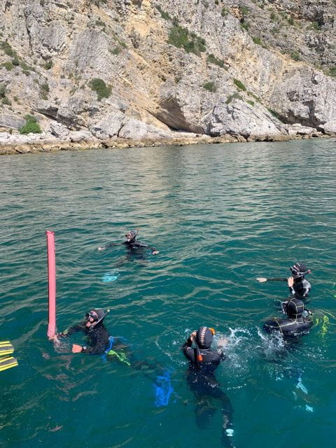 Snorkeling in Sesimbra - Highlights and Activities
