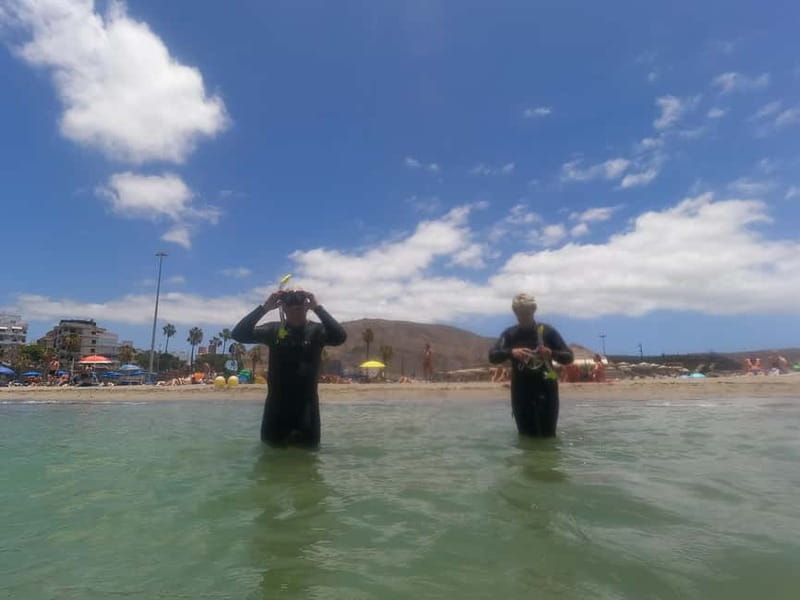 Snorkeling in tenerife south: Discover the underwater world - Key points / Takeaways