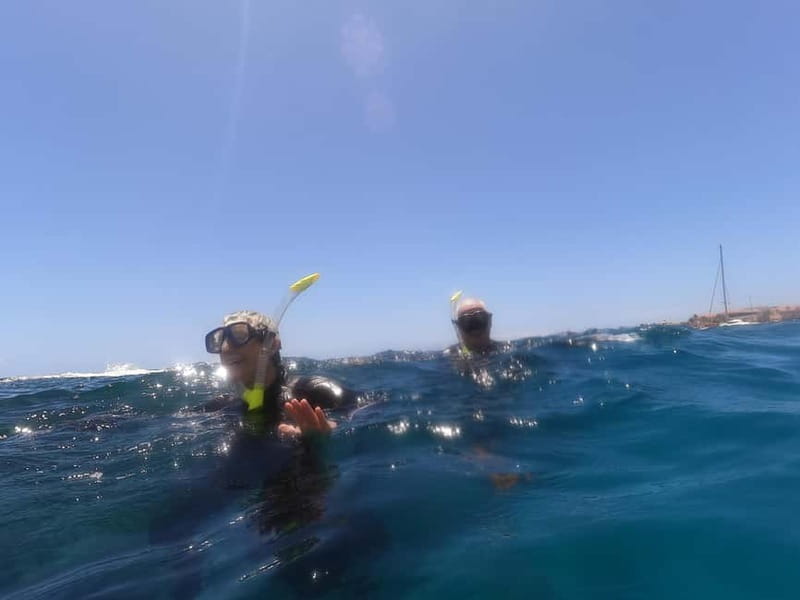 Snorkeling in tenerife south: Discover the underwater world - Diving Into the Details: What This Snorkeling Tour Really Offers
