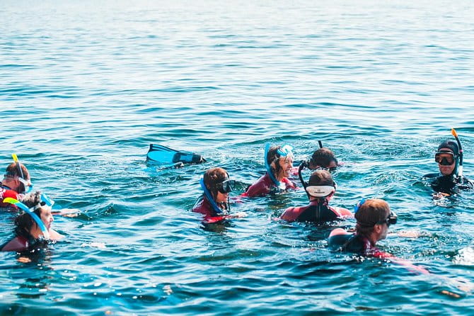 Snorkeling - Marine Park Discovery - Final Thoughts: Is It Worth It?