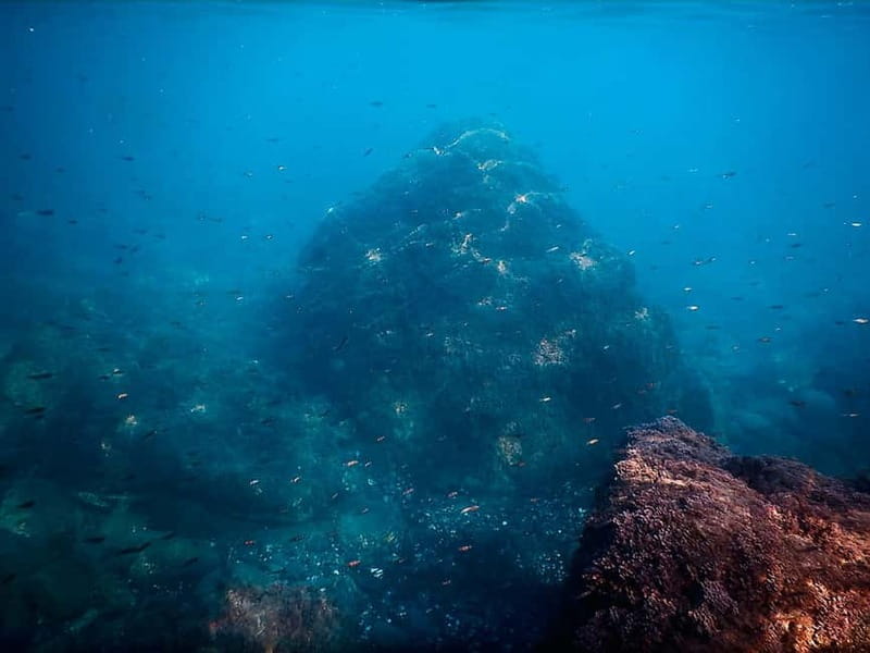 Snorkeling Tour in Levanto: Discover the Wonders of the Sea! - Key points / Takeaways