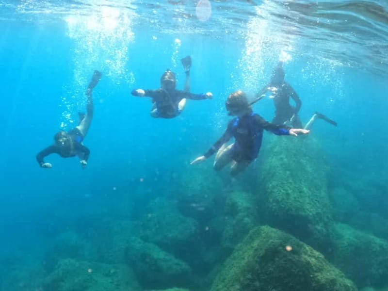 Snorkeling Tour in Levanto: Discover the Wonders of the Sea! - Who Will Love This Tour?