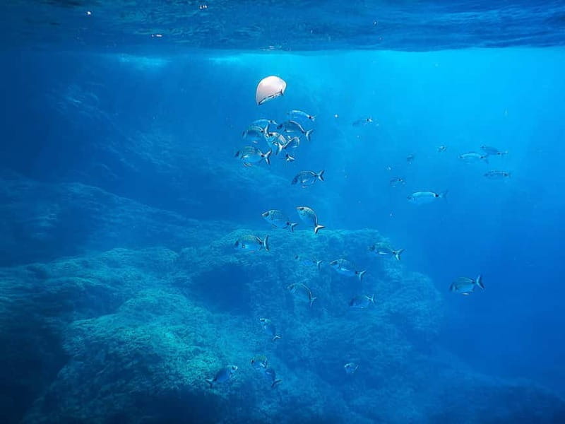 Snorkeling Tour in Levanto: Discover the Wonders of the Sea! - Who Should Choose This Tour?