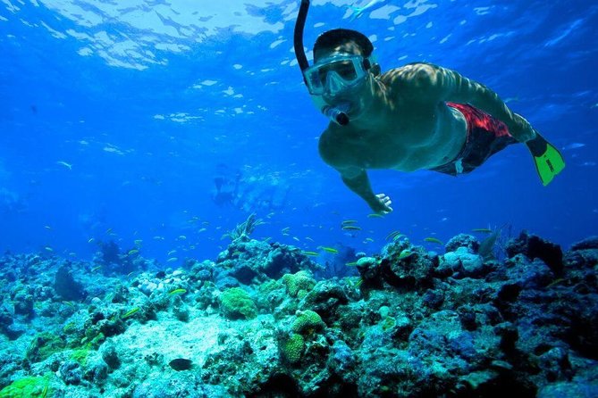 Snorkeling Tour to Vieques Island - Additional Information