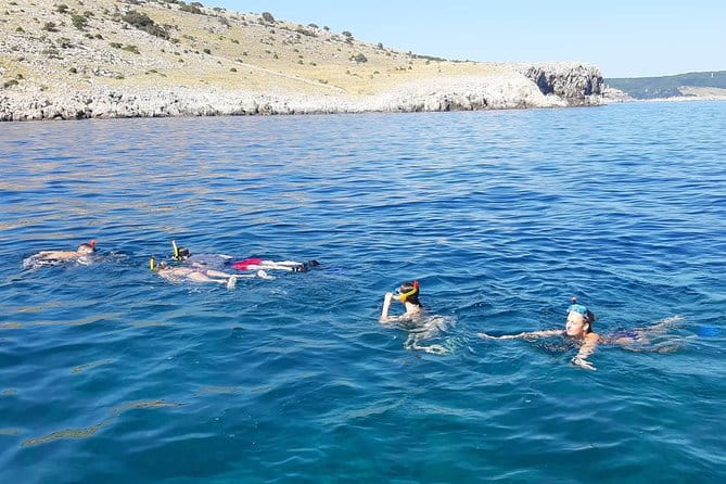 Snorkeling Trip - Crikvenica/ Krk island - Key Points / Takeaways