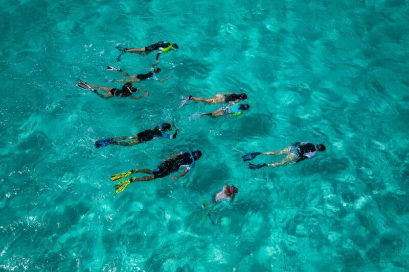 Snorkeling Trips in Amorgos - Exploring Amorgos Snorkeling Tours in Detail