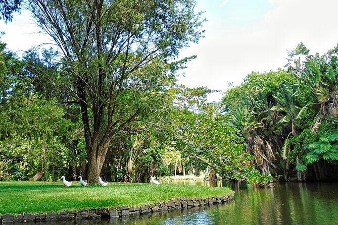 Snorkeling With Giant Turtles, the Red Church, Pamplemousses Garden & Port Louis - Touring Port Louis