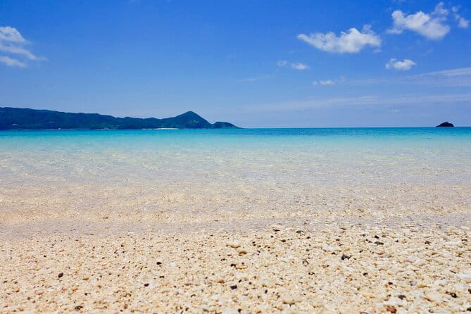 Snorkeling With Sea Turtles - Booking Your Adventure