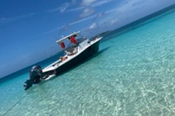 Snorkeling With The Turtles - Review Highlights