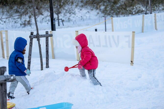 Snow Fun and First Ski or Snowboard at Hokkaido F VILLAGE - Overview of Activities