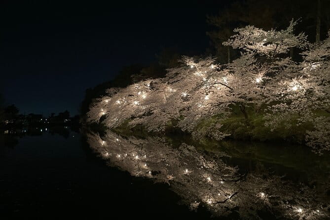 Snow Monkey and Takada Castle Cherry Blossom Illumination Tour - Meeting and Pickup Details