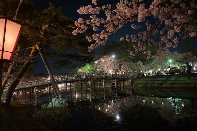 Snow Monkey and Takada Castle Cherry Blossom Illumination Tour - The Sum Up
