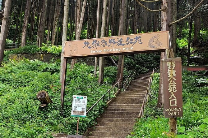 Snow Monkey Nagano One Day Private Tour With English Guide. - Pickup Information