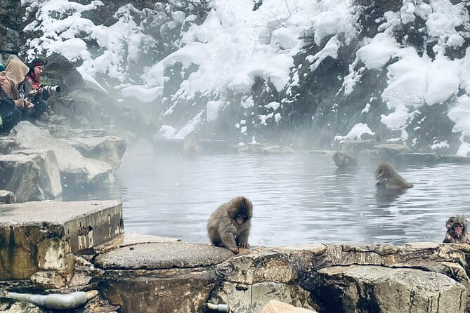Snow Monkey Nagano One Day Private Tour With English Guide. - Cancellation and Payment Policies
