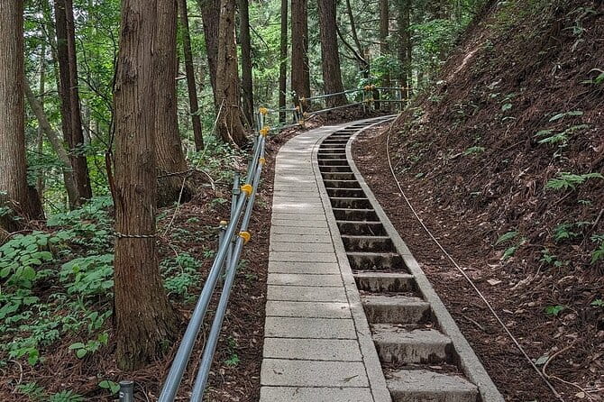 Snow Monkey Nagano One Day Private Tour With English Guide. - Exploring the Snow Monkeys