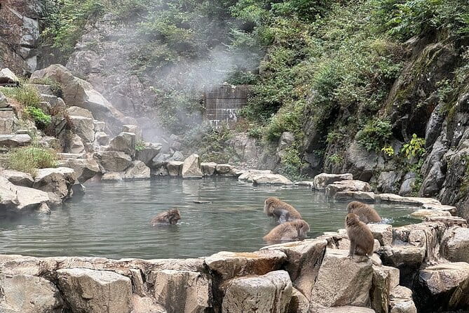 Snow Monkey Park Private Tour From Tokyo With Licensed Guide - Pricing and Cancellation Policy