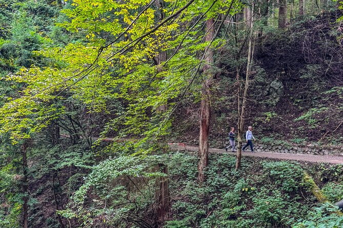 Snow Monkey Park Private Tour From Tokyo With Licensed Guide - Additional Information