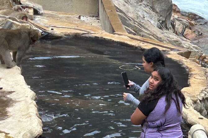 Snow Monkey Park Tour, From/To Tokyo, 2-12 Guests - Personal Experiences From Travelers