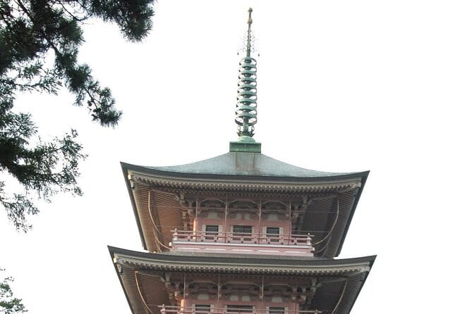 Snow Monkey Park & Zenkoji Temple Nagano Pvt. Full Day Tour. - Contact Information and Booking